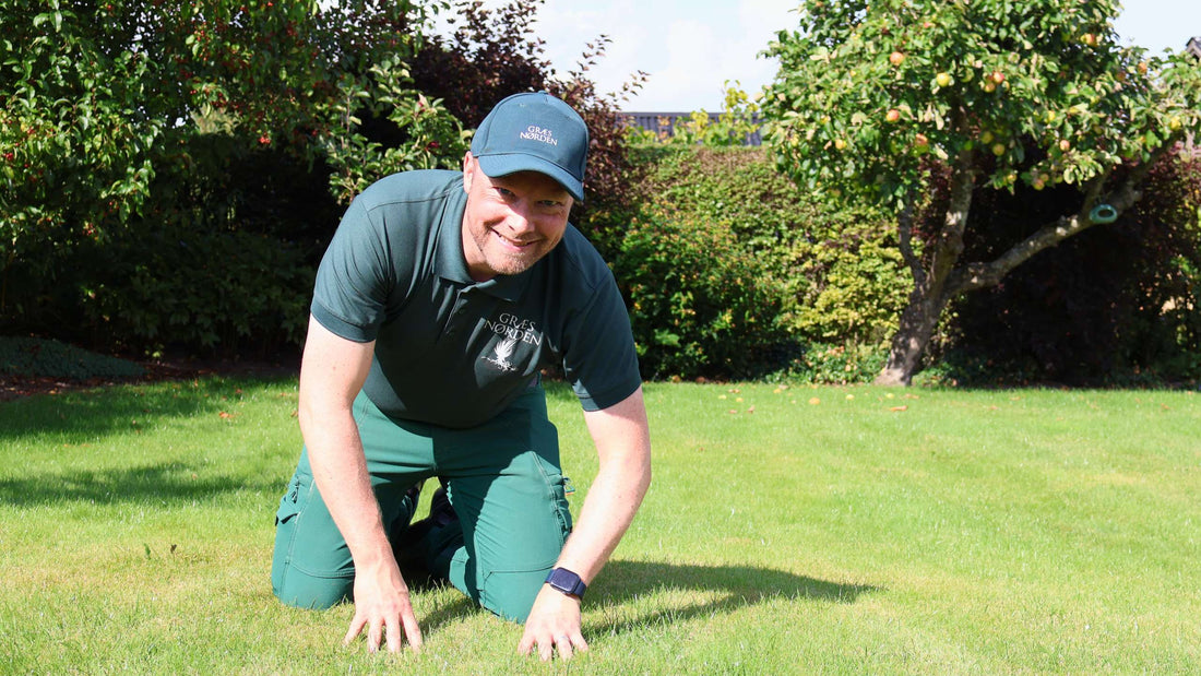 Gåsebiller i haven – sådan opdager og bekæmper du dem