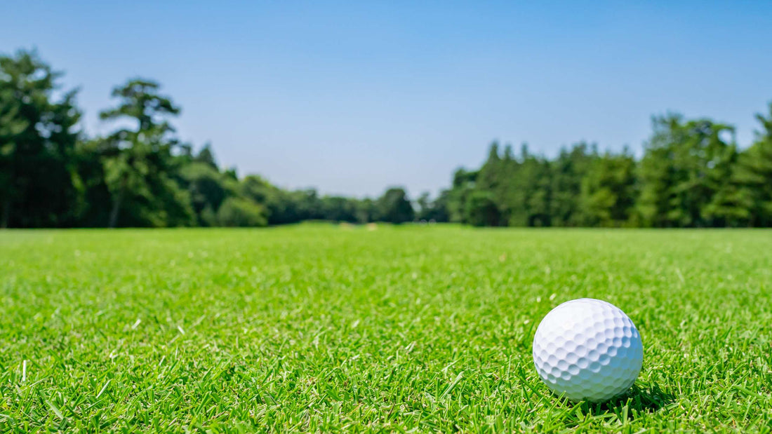 Græsnørden guider Kristelig Dagblads læsere: Sådan får du en sund og smuk græsplæne