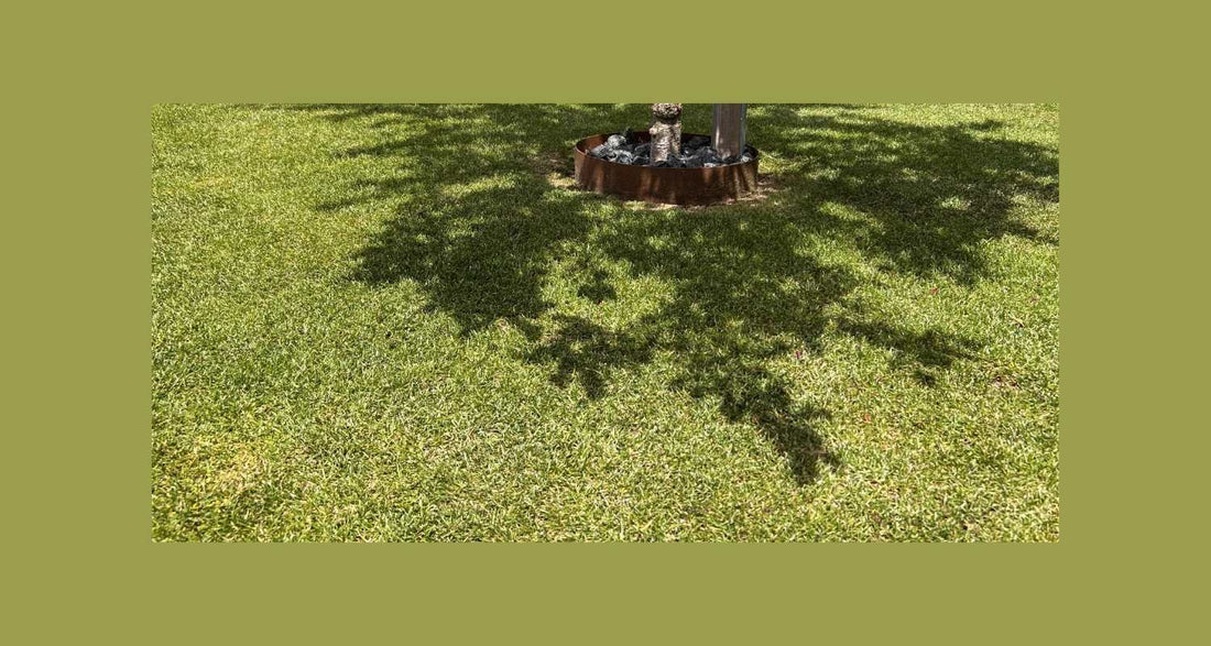 Græsplænens sommerplaner