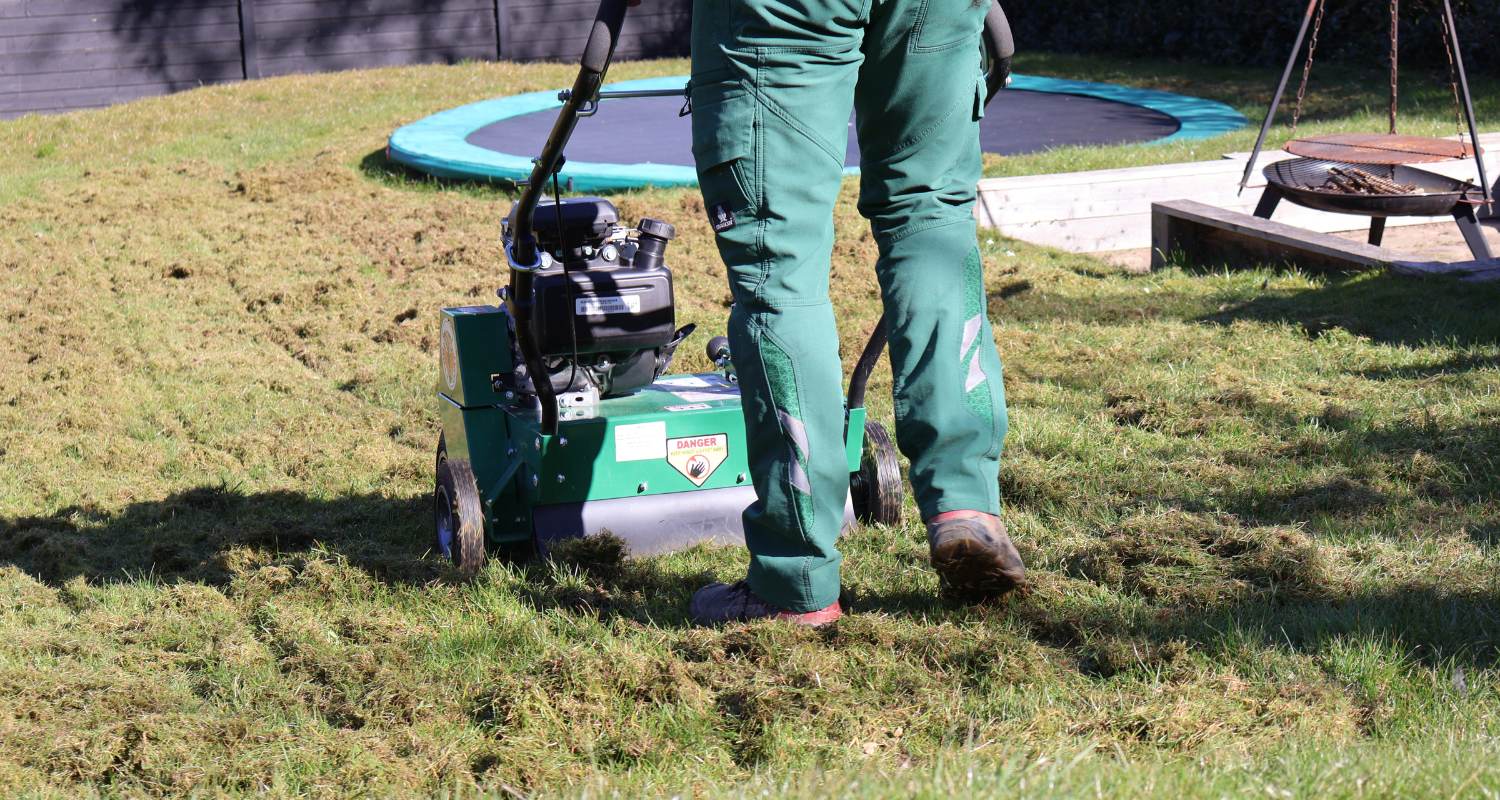 Stor interesse for mos - hos kunder og læsere i Jyllands-Posten