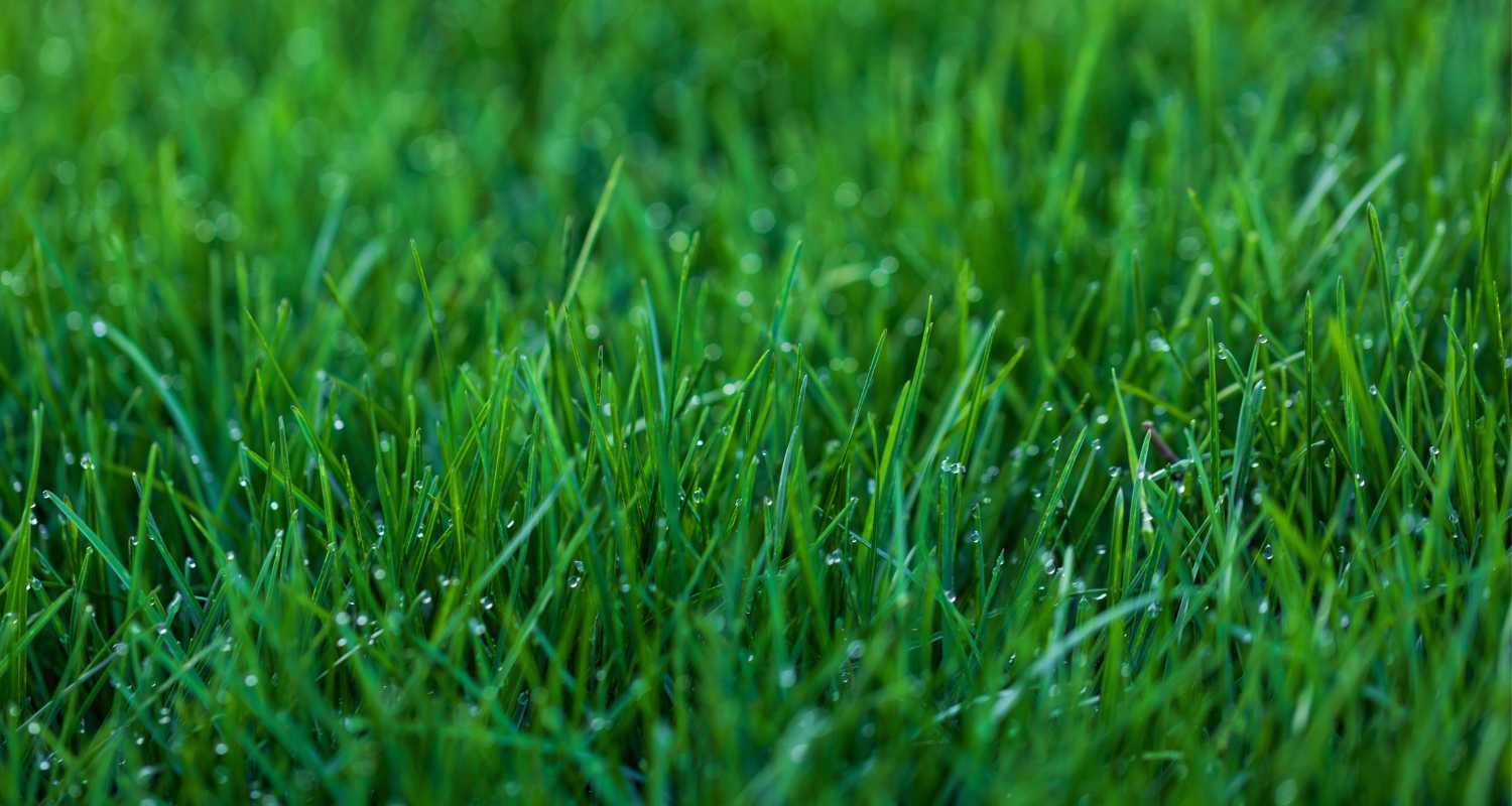 Er du klar til at omfavne foråret?