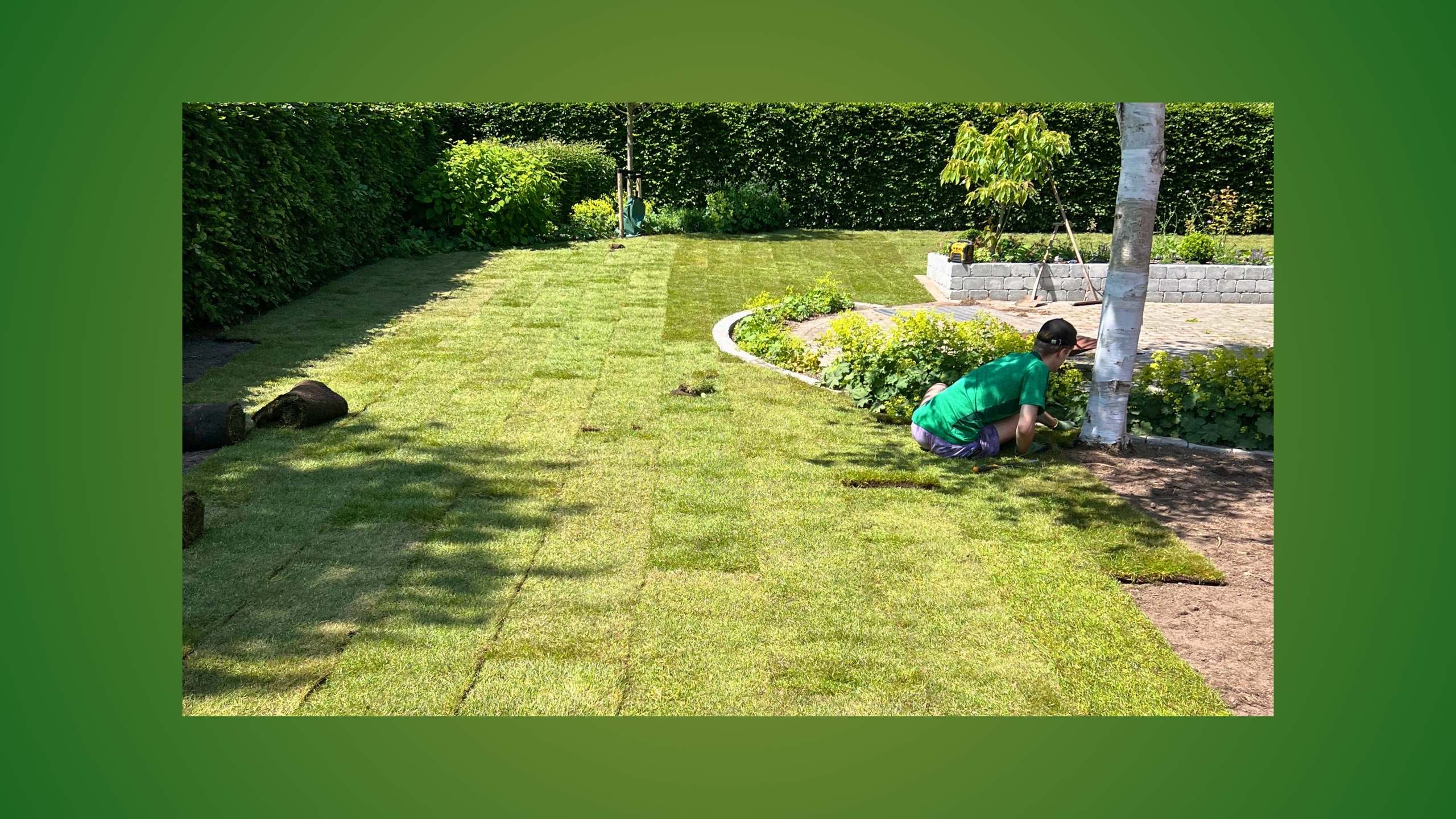 Sådan fik kunden en ny plæne – fra hundegræs til rullegræs