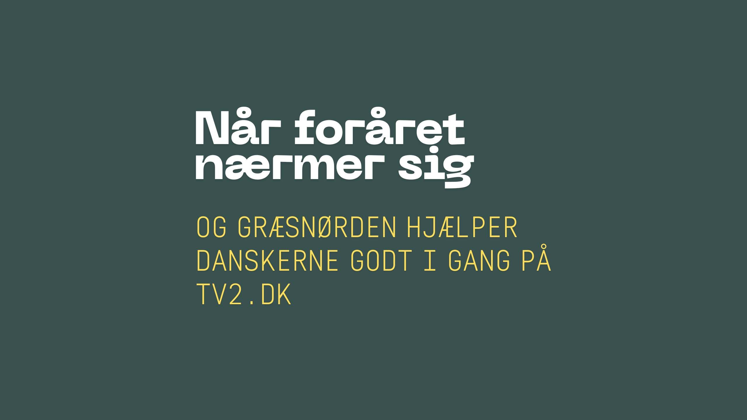 Når Græsnørden hjælper danskerne godt i gang efter sneskimmel samt en hård vinter på tv2.dk