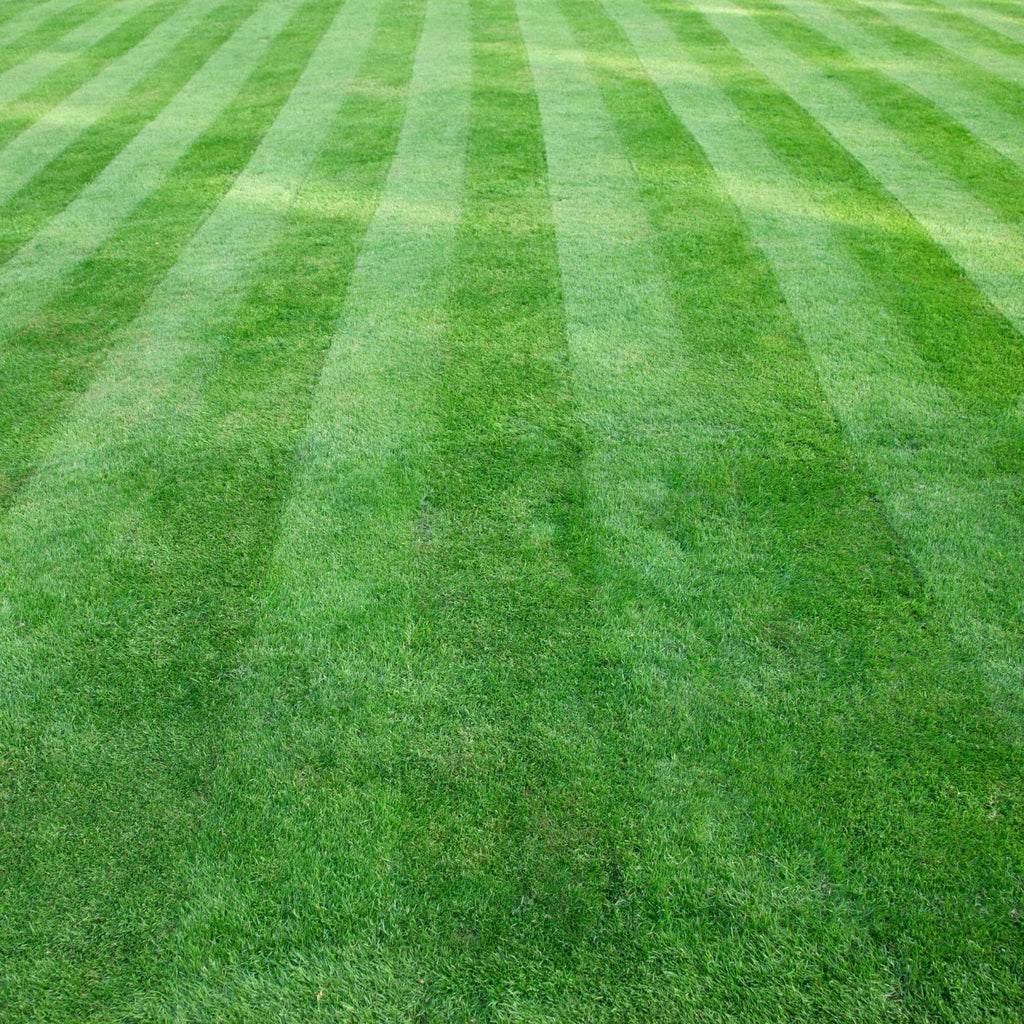 Mastercare Sport 5-3-20