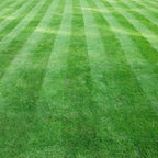 Mastercare Sport 5-3-20