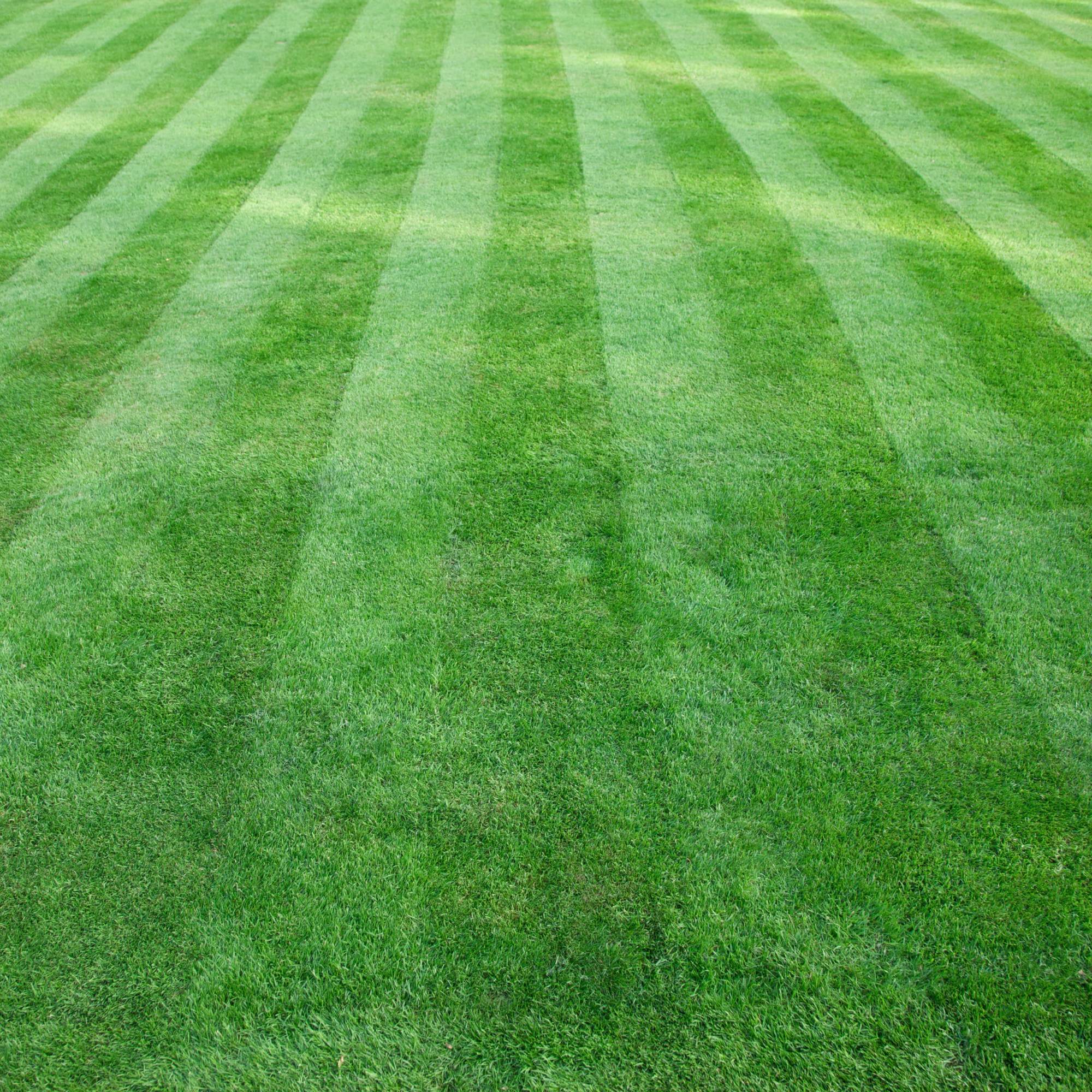 Mastercare Sport 5-3-20