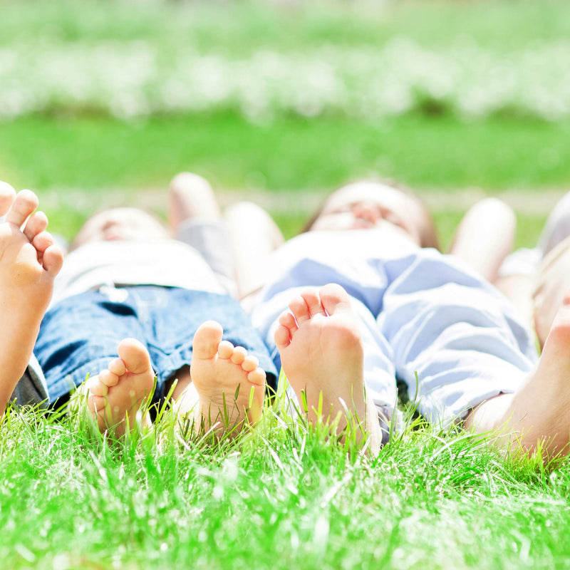 Masterline Superliga