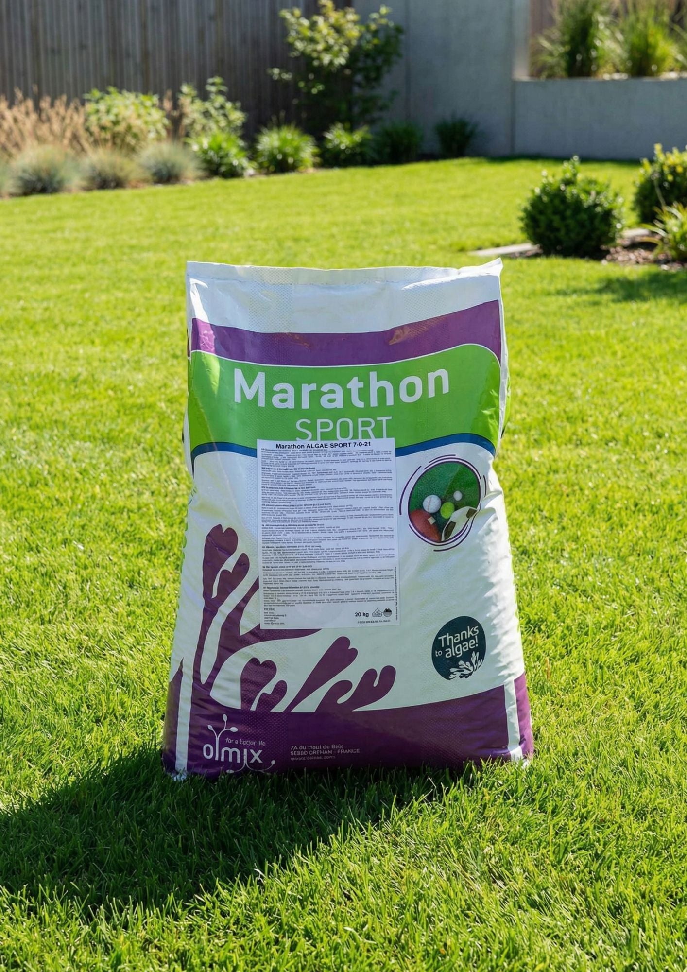 Marathon Sport 12-4-6