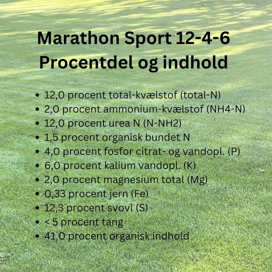 Marathon Sport 12-4-6