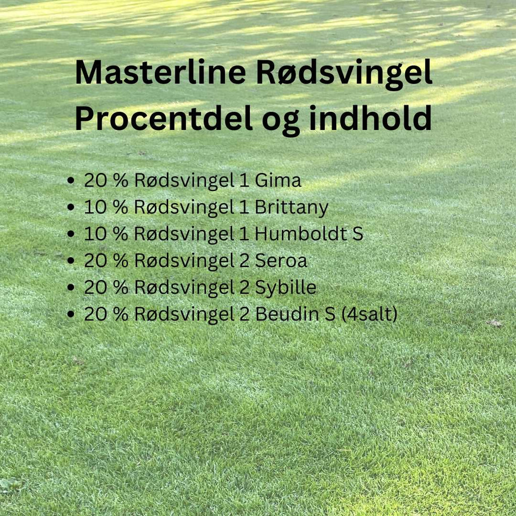 Masterline Rødsvingel
