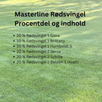 Masterline Rødsvingel