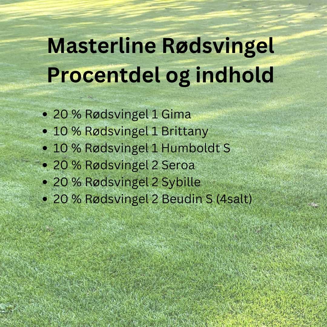Masterline Rødsvingel