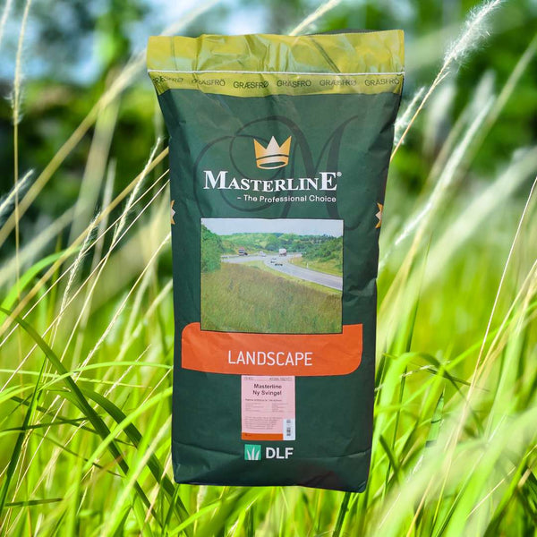 Masterline Rødsvingel