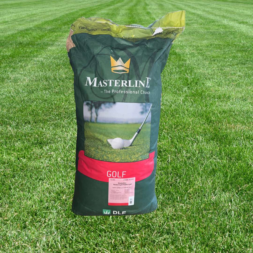 Masterline Rødsvingel