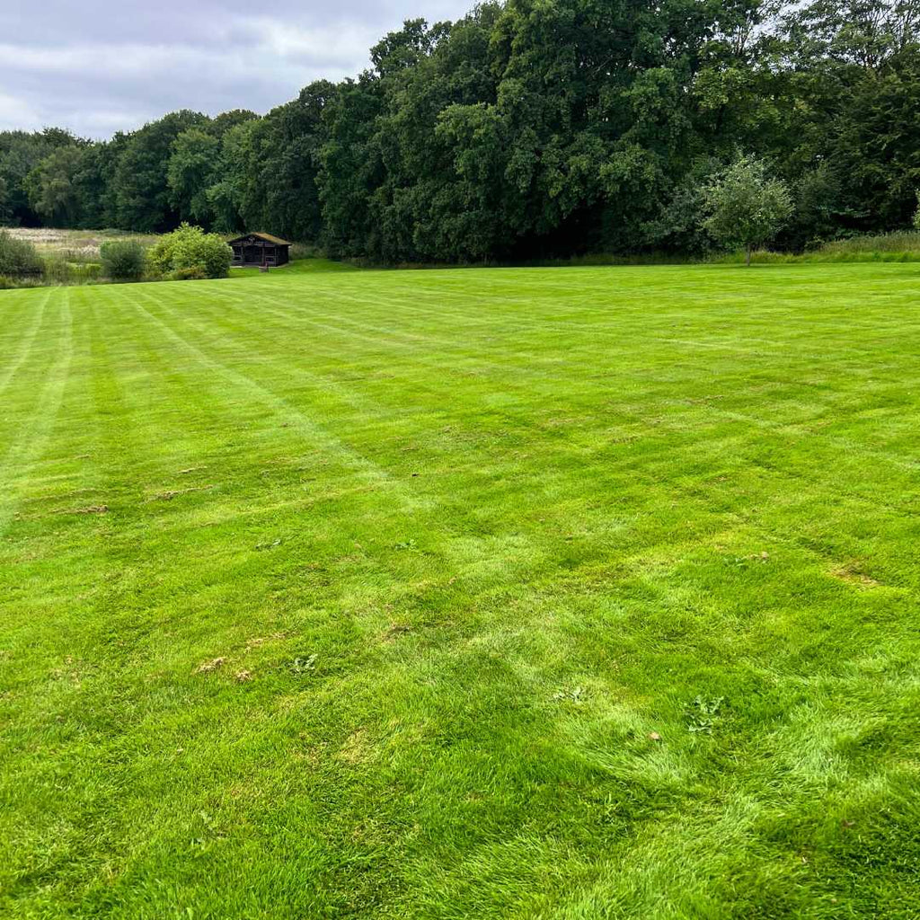 Græsplejepakke ØKO