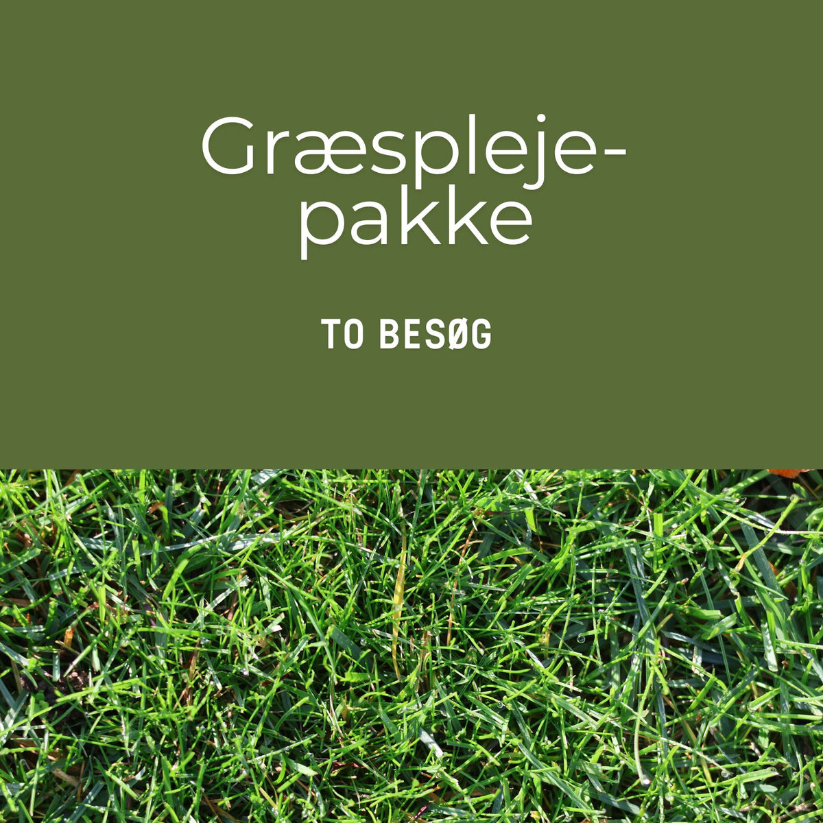 Græsplejepakke - to besøg i 2027