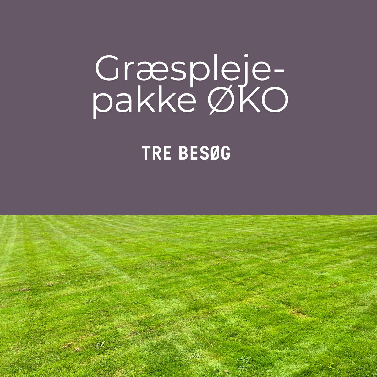 Græsplejepakke ØKO - tre besøg i 2027