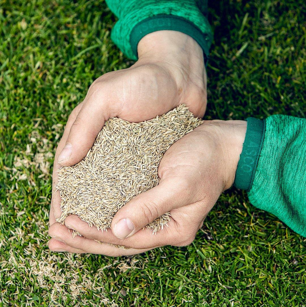 Græsnørden's Gavekort - Græsnørden.dk
